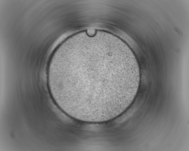 X0000113640950200910162034