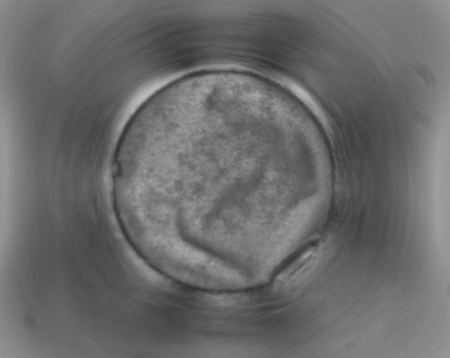 X0000113640951200910162034