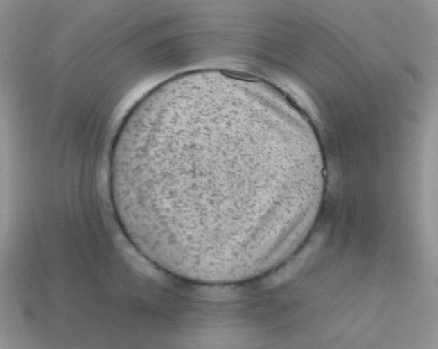 X0000113640952200910162034