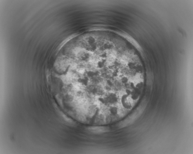 X0000113640953200910162034