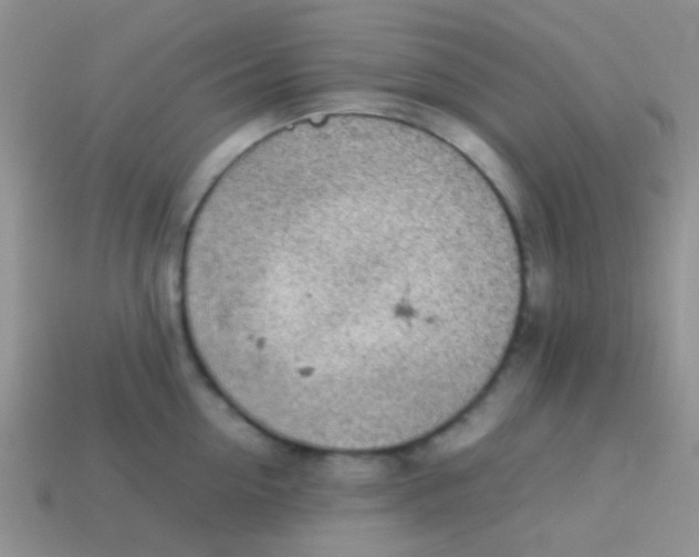 X0000113640954200910162034