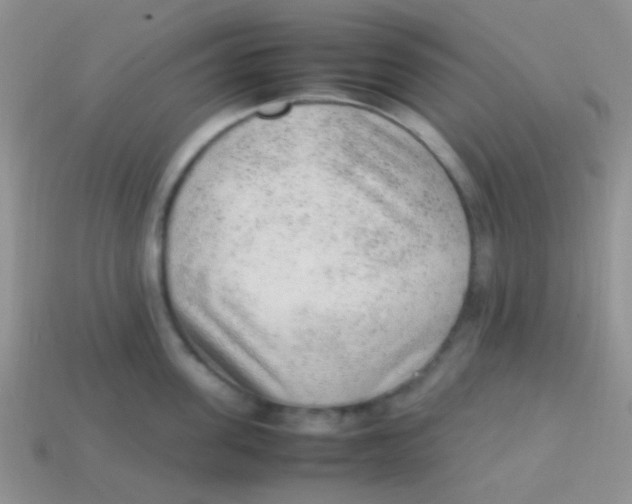 X0000113640955200910162034