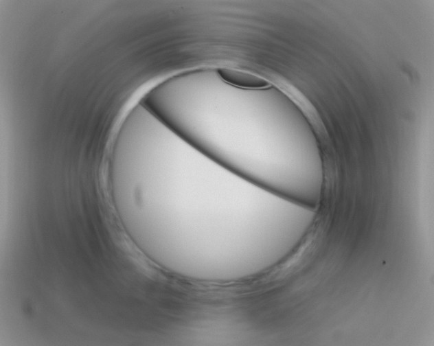 X0000113640956200910162034