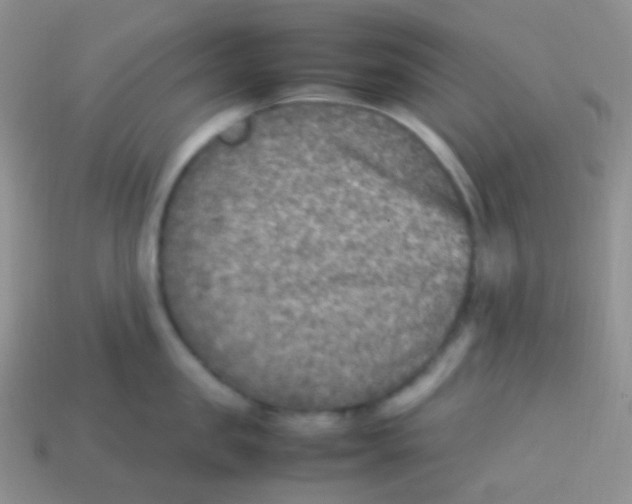 X0000113640957200910162034