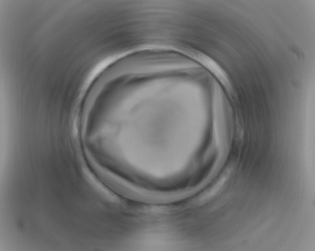 X0000113640958200910162034