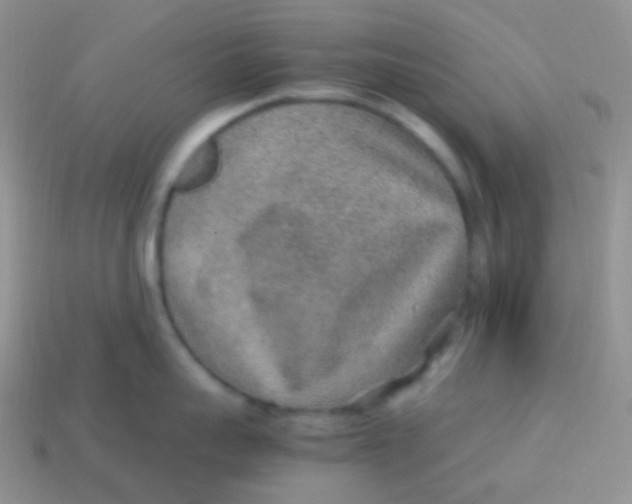 X0000113640959200910162034