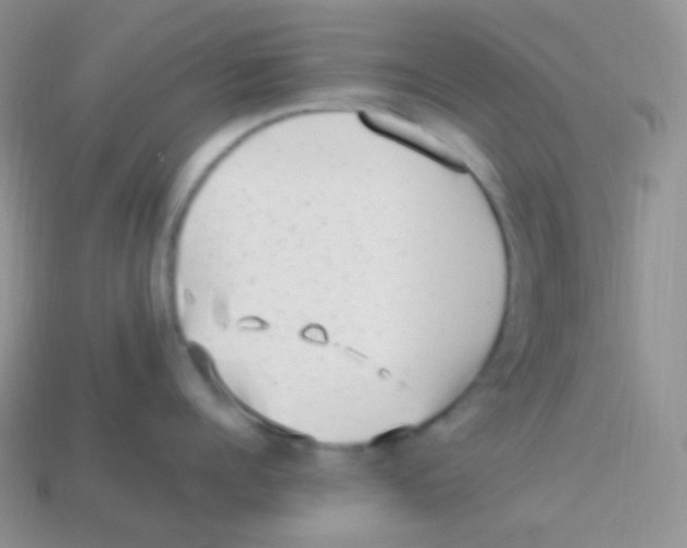 X0000113640960200910162034