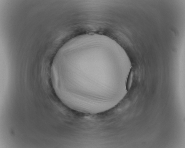 X0000113640961200910162034