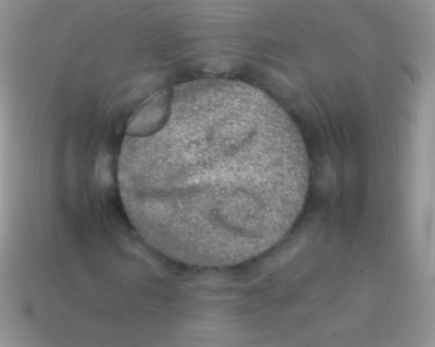 X0000113640962200910162034