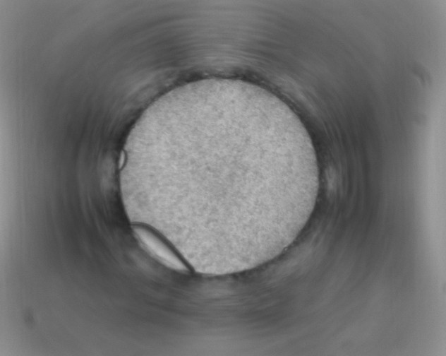 X0000113640964200910162034