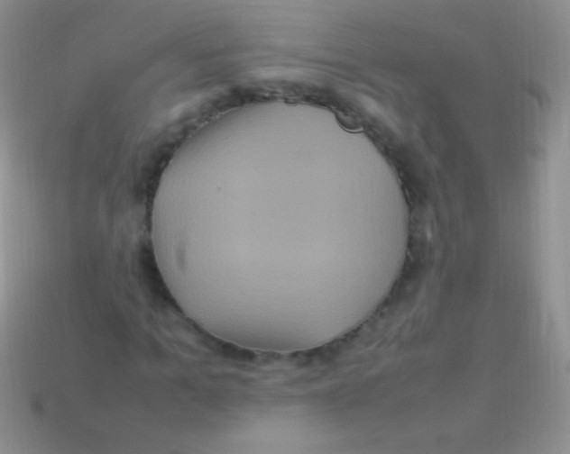 X0000113640965200910162034