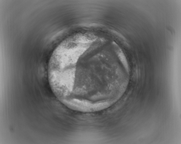 X0000113640966200910162034