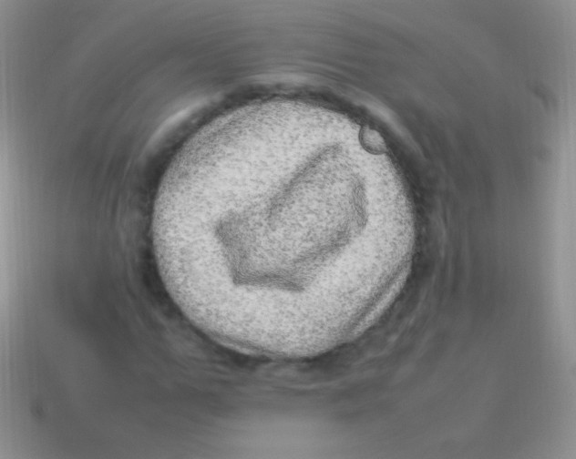 X0000113640967200910162034