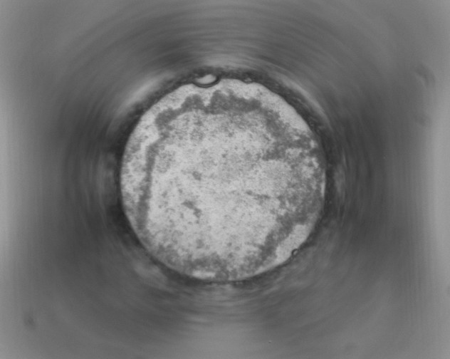 X0000113640968200910162034