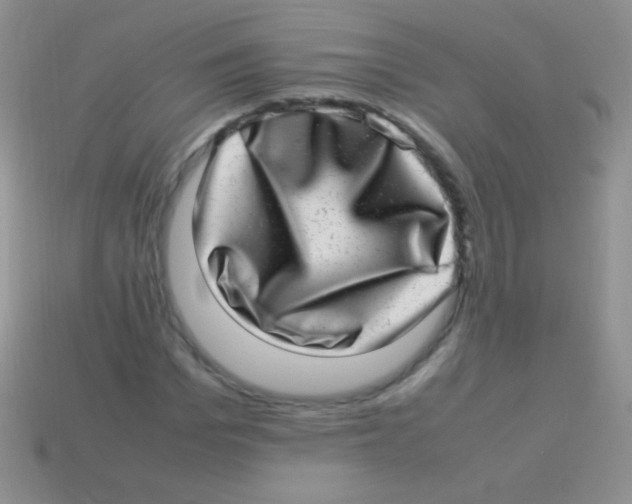 X0000113640969200910162034