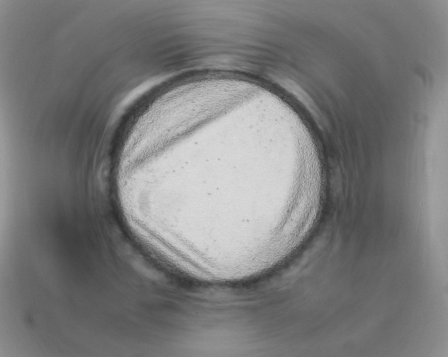 X0000113640971200910162034