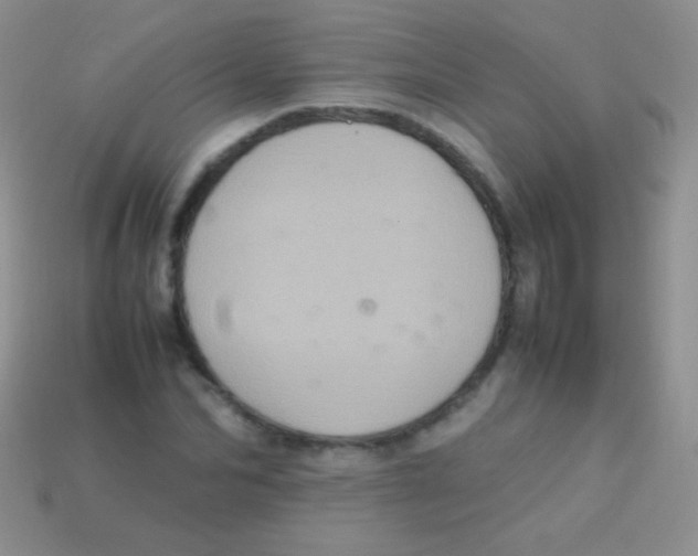 X0000113640974200910162034