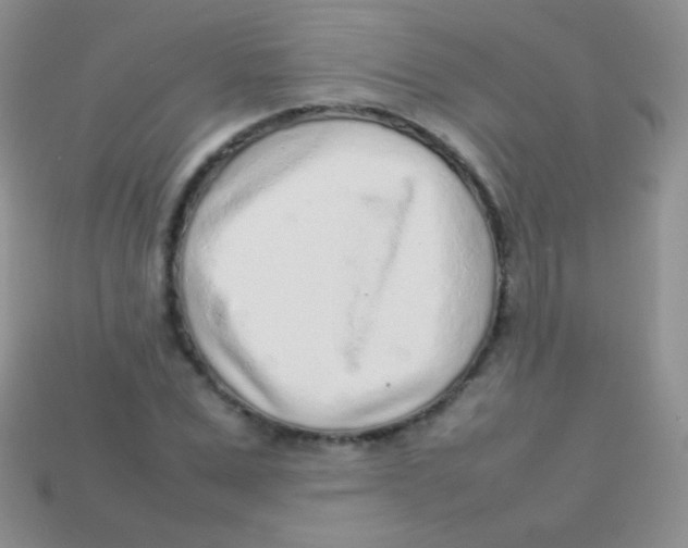 X0000113640975200910162034