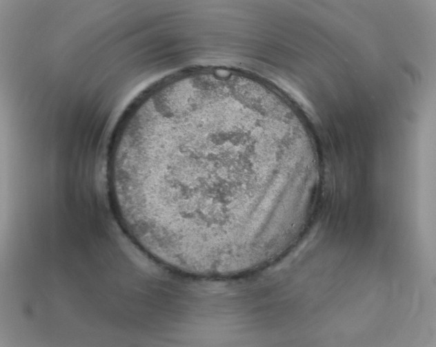 X0000113640976200910162034