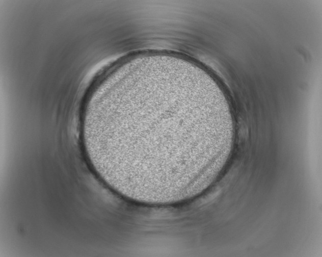 X0000113640979200910162033