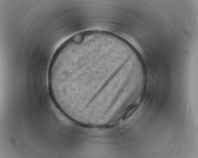 X0000113640980200910162033