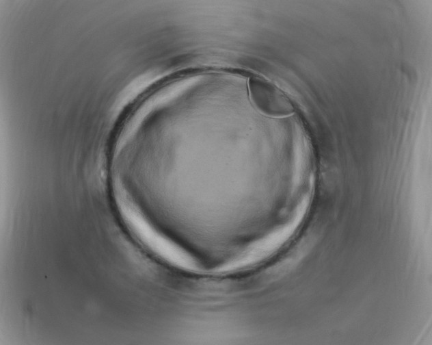 X0000113640981200910162033