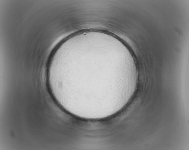 X0000113640983200910162033