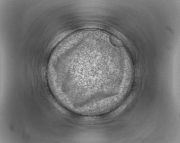 X0000113640985200910162033