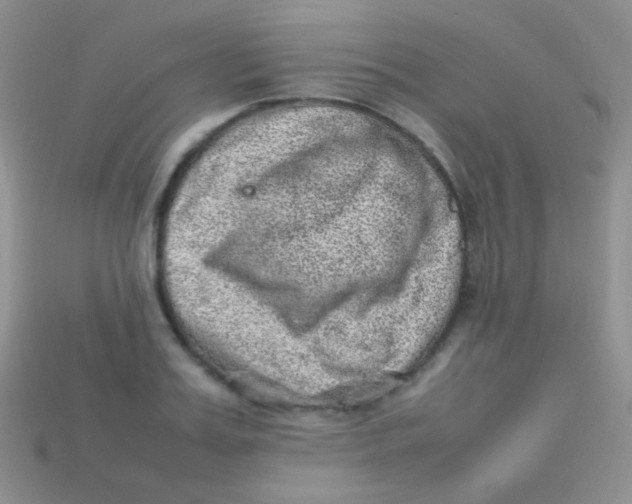 X0000113640987200910162033