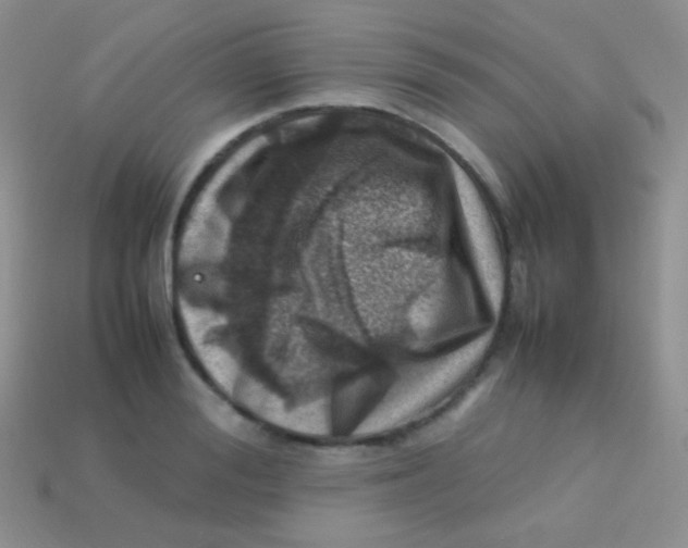 X0000113640988200910162033