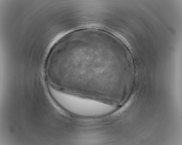 X0000113640989200910162033