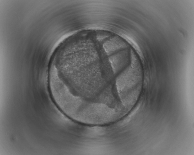 X0000113640992200910162033