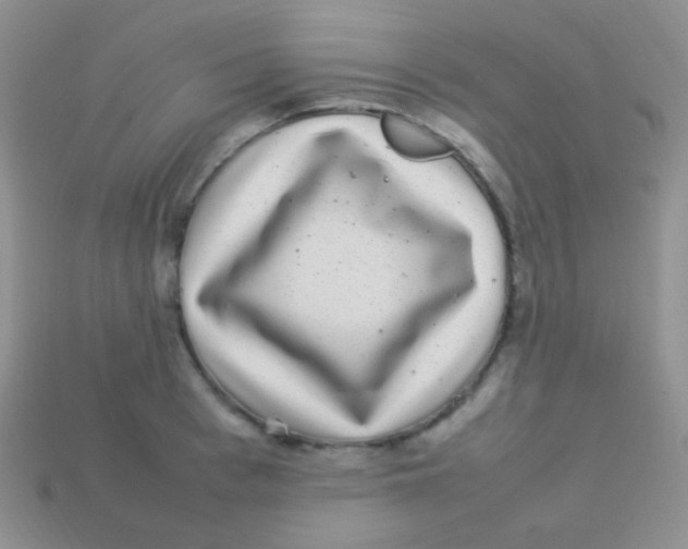 X0000113640993200910162033