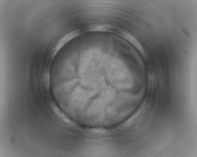 X0000113640994200910162033