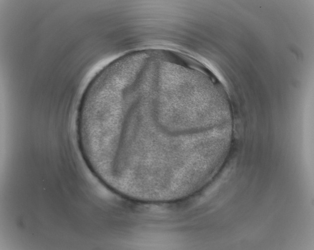 X0000113640995200910162033