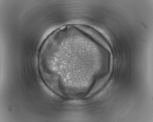 X0000113640998200910162033