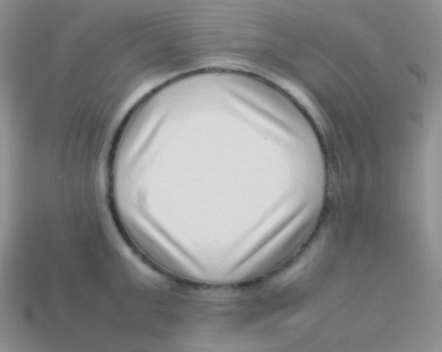 X0000113640999200910162033