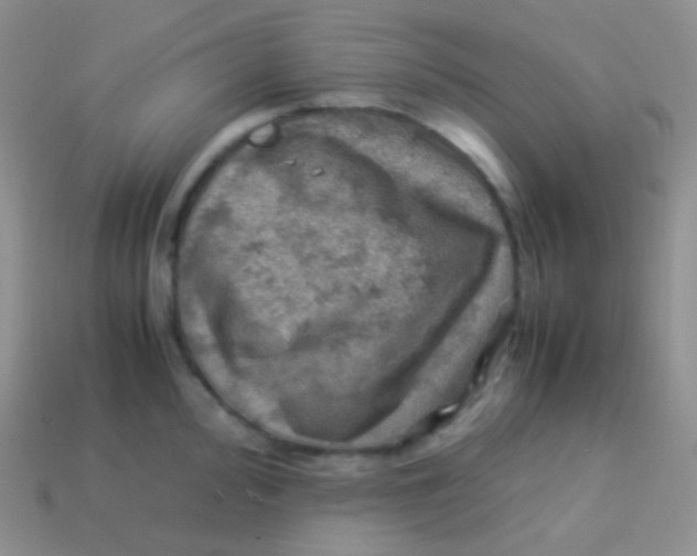 X0000113641000200910162033