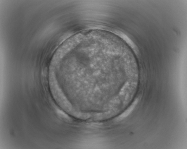 X0000113641001200910162033