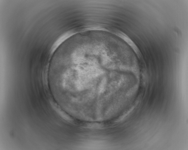 X0000113641002200910162033