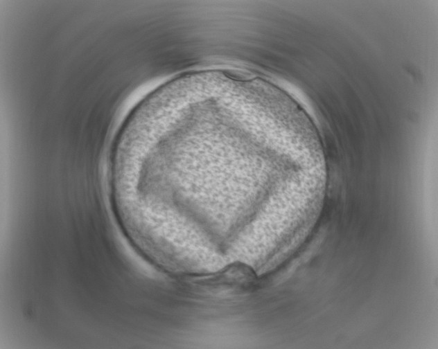 X0000113641003200910162033