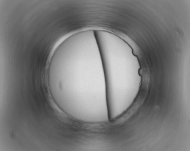 X0000113641004200910162033