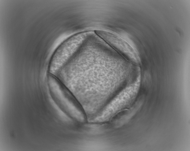 X0000113641005200910162033