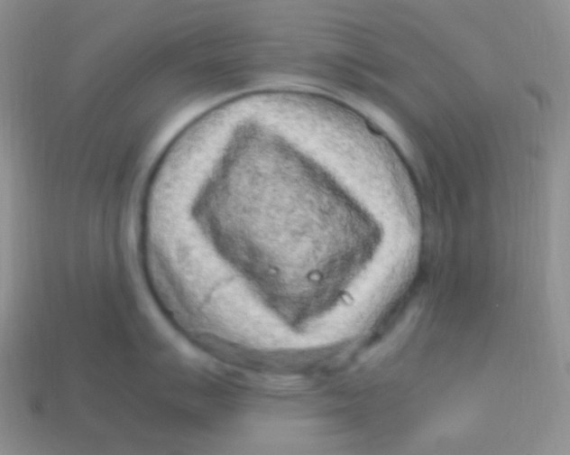 X0000113641007200910162033