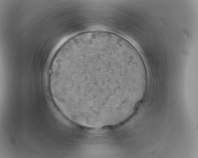 X0000113641008200910162033