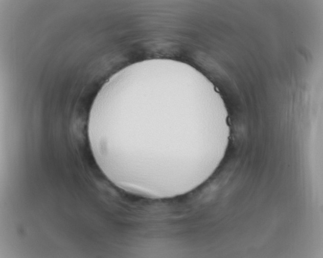 X0000113641010200910162032