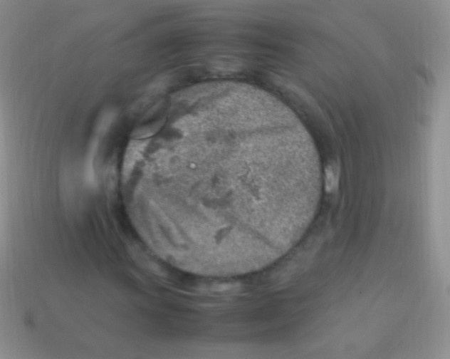 X0000113641011200910162033