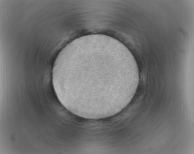 X0000113641012200910162033