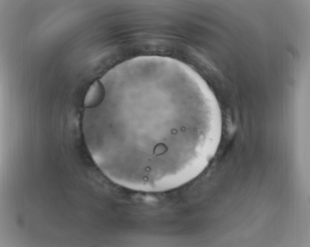 X0000113641013200910162033