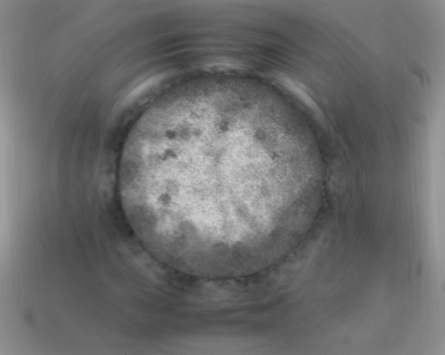 X0000113641015200910162033